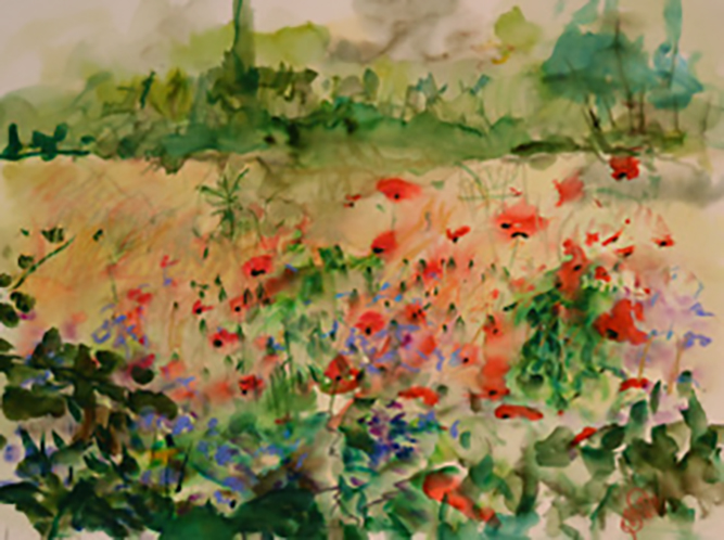 botanical garden